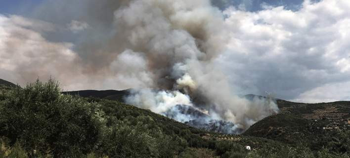 Εύβοια: Υπό έλεγχο η φωτιά στην Ιστιαία